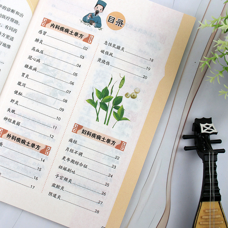 Traditional Chinese Medicine F - огляд і ціна Wellness Herbal Medicine