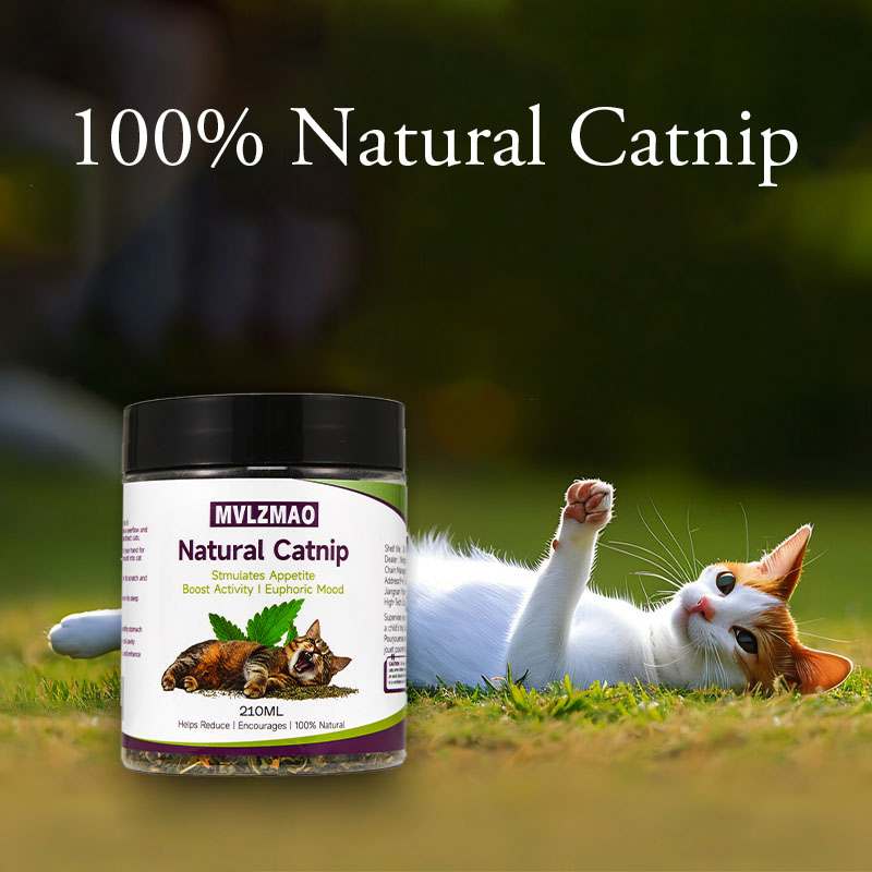 Cat Toys - Silvervine Catnip f - огляд і ціна Herbal Wellness Supplement