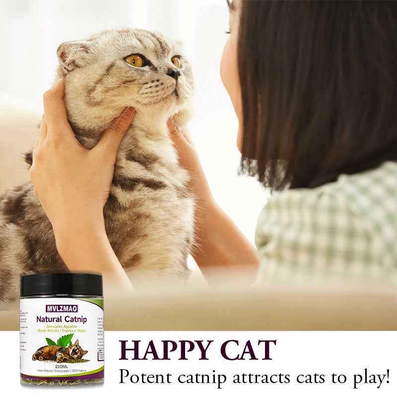 Cat Toys - Silvervine Catnip f - огляд і ціна Herbal Wellness Supplement